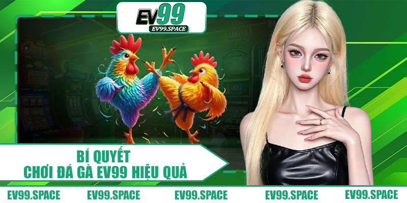 Bí Quyết Chơi Đá Gà EV99 Hiệu Quả