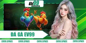 Đá Gà EV99