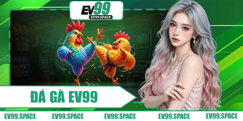 Đá Gà EV99