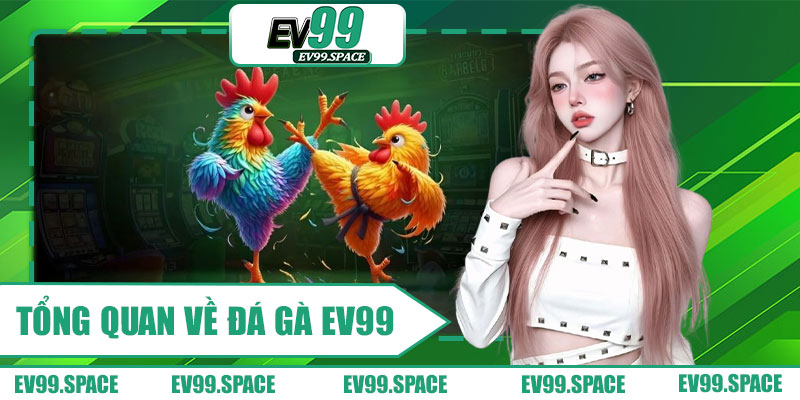 Tổng Quan Về Đá Gà EV99