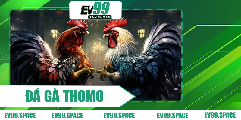 Đá Gà Thomo